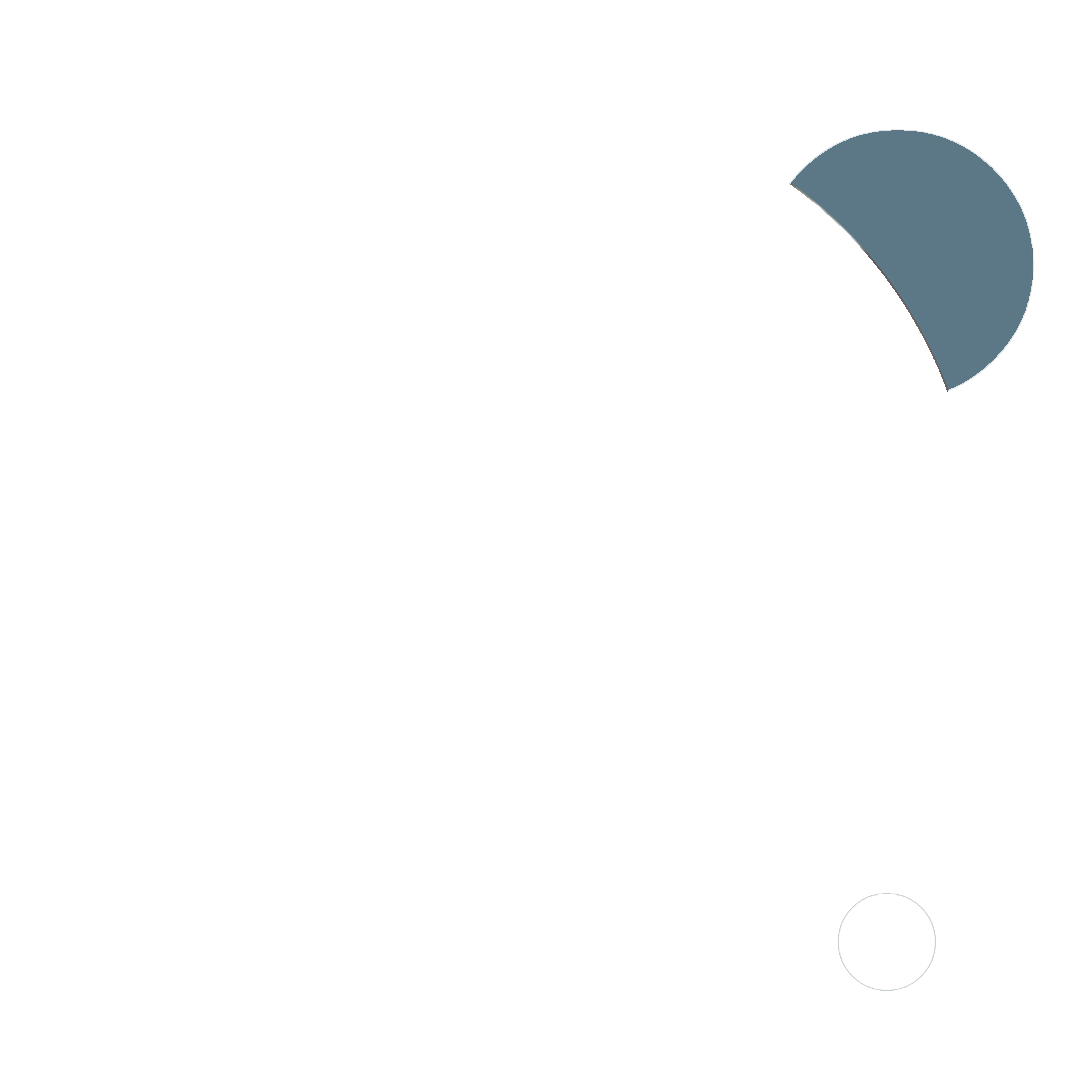 D Consulting Services